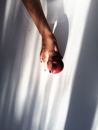 Cropped hand of woman holding apple against wall