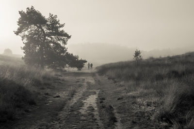 Dirt road on grassy field against sky during foggy weather