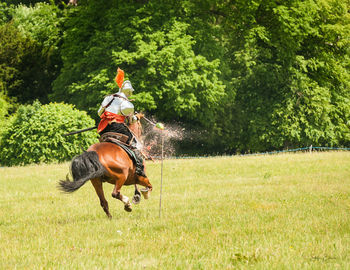 Man riding horse on field