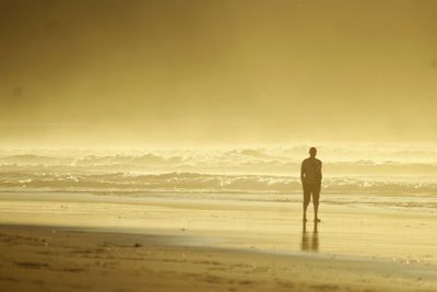 Rear view of man standing on beach during sunset