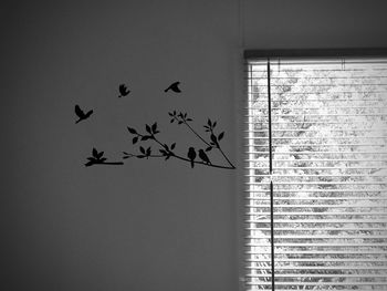 Birds flying in the wall