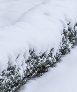 snow