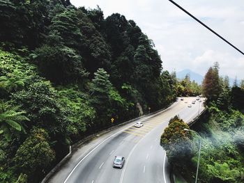 Road amidst trees against sky