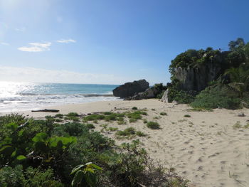 Scenic view of beach against blue sky