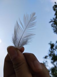 Close-up of hand holding feather against sky