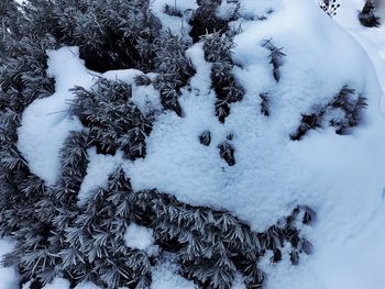 Snow on landscape during winter