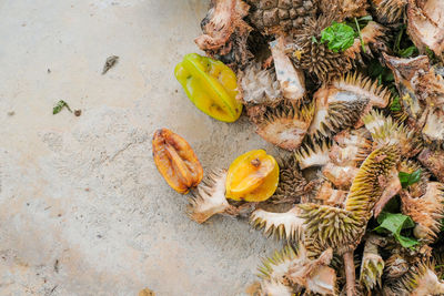 High angle view of crab on ground