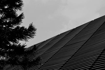 Low angle view of silhouette tree against sky