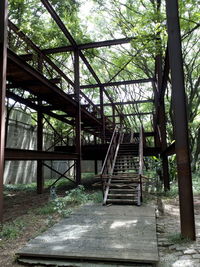 Staircase by trees