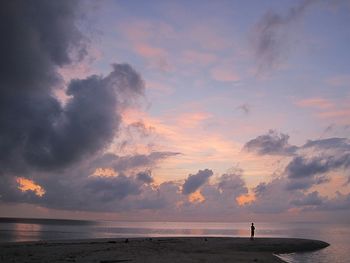 Silhouette of person standing on beach
