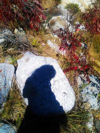 High angle view of person shadow on rock