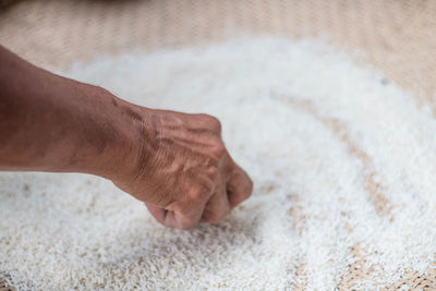 Cropped image of woman collecting rice in wicker container