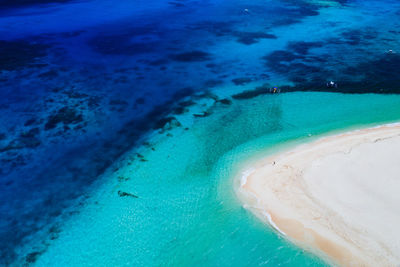 Drone view of man at beach on sunny day