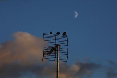 Low angle view of birds perching on television aerial against blue sky