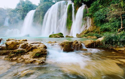 Scenic view of waterfall in forest