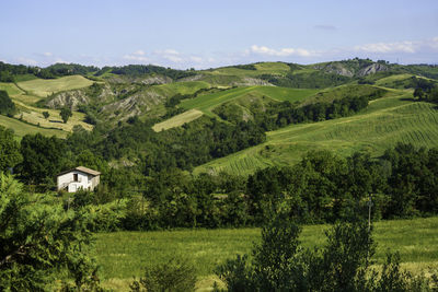 Scenic view of trees and houses on field against sky