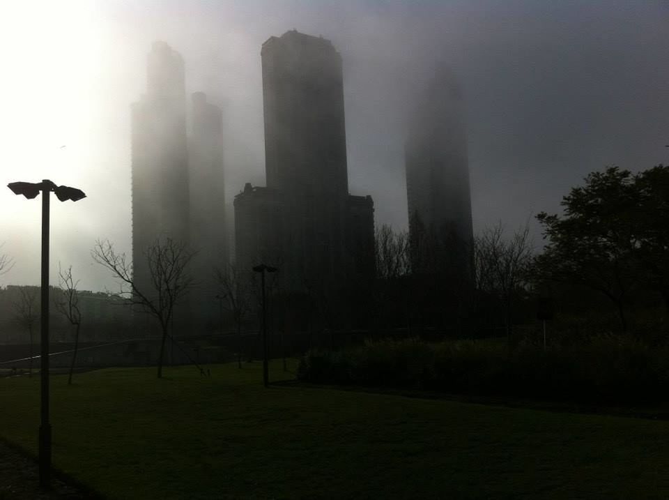 VIEW OF LAMP POST IN FOGGY WEATHER