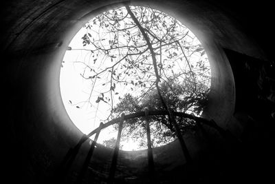 Low angle view of silhouette trees against sky