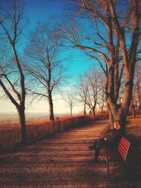 Bare trees on landscape against sky