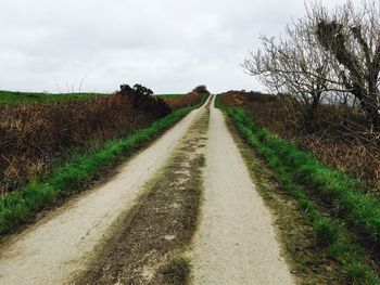 Road amidst agricultural field against sky