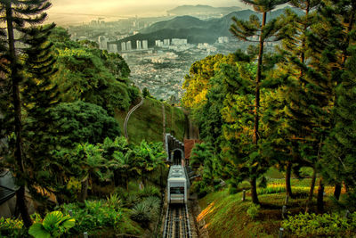 Scenic view of landscape with mountain in background