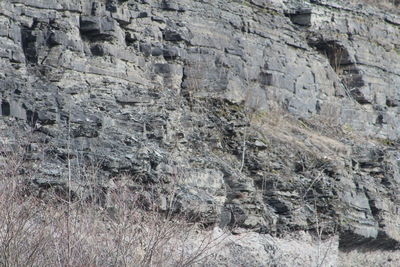 Close-up of abandoned building