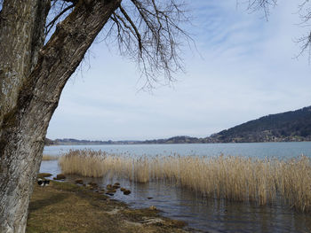 Scenic view of lake against sky