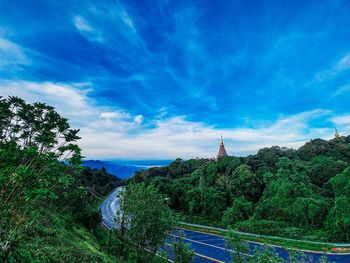 Panoramic view of trees against blue sky