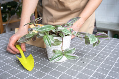 environmental conservation