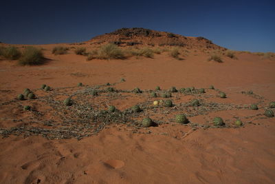 Scenic view of desert against clear sky