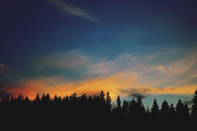 Silhouette trees in forest against sky at sunset