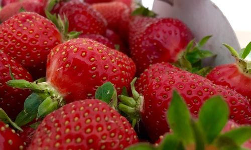 Close-up of strawberries