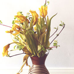 Close-up of flower vase against white background