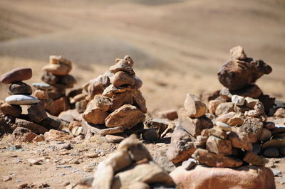 Close-up of rocks on land