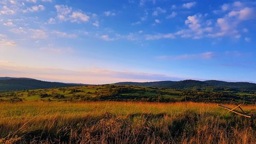 Scenic view of field against sky during sunset