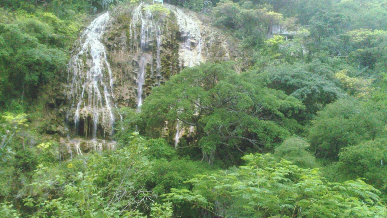 tree, beauty in nature, forest, tranquility, scenics, green color, nature, growth, tranquil scene, lush foliage, non-urban scene, waterfall, idyllic, plant, moss, day, rock - object, high angle view, green, landscape