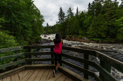 Rear view of woman standing on footbridge in forest