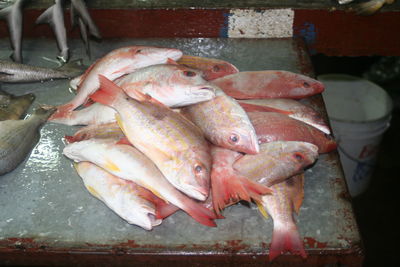 High angle view of fish for sale in market