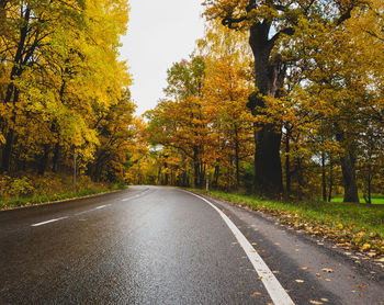 Empty road amidst trees during autumn