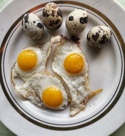 High angle view of breakfast served on table