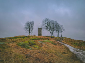 Bare tree on field against sky