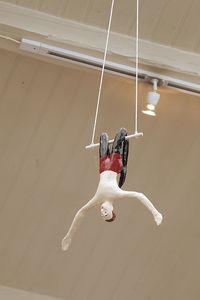 Bird flying over white background