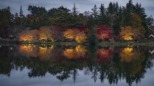reflection