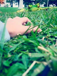 Woman in grass