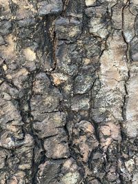 Full frame shot of rock on wall