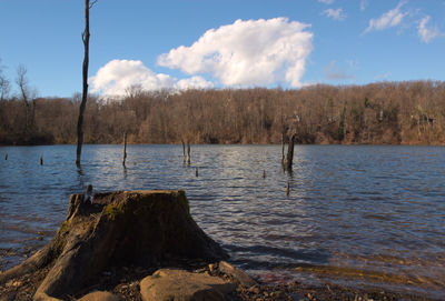 Scenic view of lake against sky