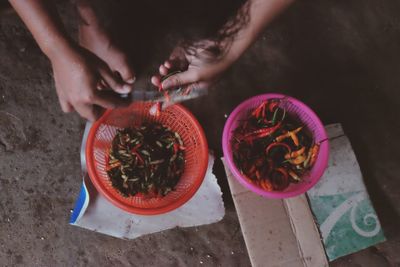 High angle view of woman holding fruits