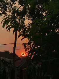 Low angle view of silhouette tree against sky during sunset