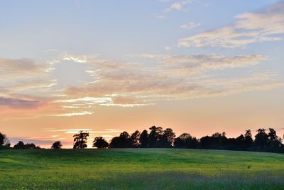 Scenic view of field against sky during sunset