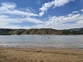 View of birds on land against sky